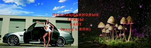 apvp Бугульма