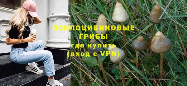 apvp Бугульма