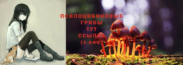 apvp Бугульма