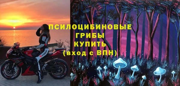 стаф Бронницы