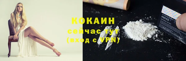 стаф Бронницы