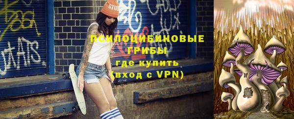 бутик Бородино