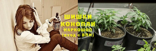 apvp Бугульма