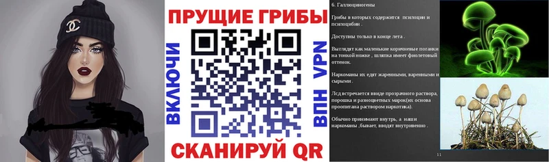 Галлюциногенные грибы Magic Shrooms  darknet формула  Нижний Тагил  где продают  