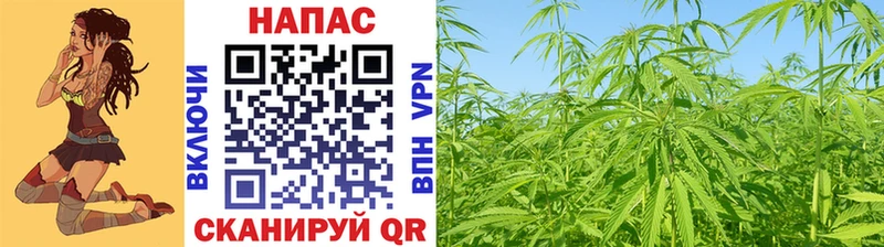 Шишки марихуана SATIVA & INDICA  blacksprut ONION  Нижний Тагил 